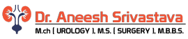 dr aneesh
