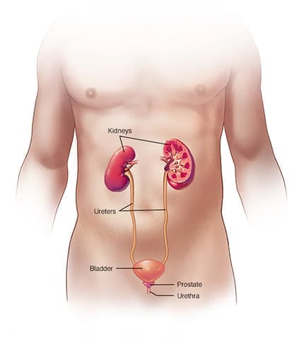 Robotic Nephrectomy